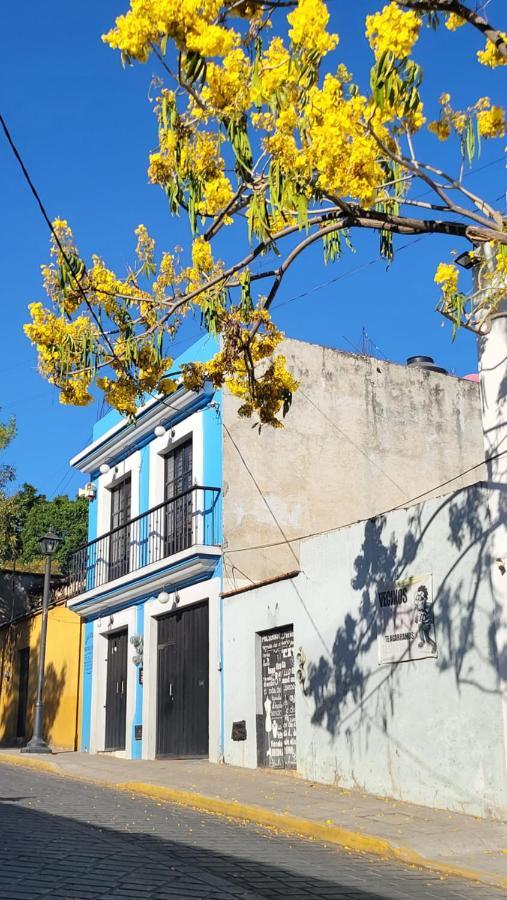 Departamentos Oaxaca Bonito Apartment Exterior photo
